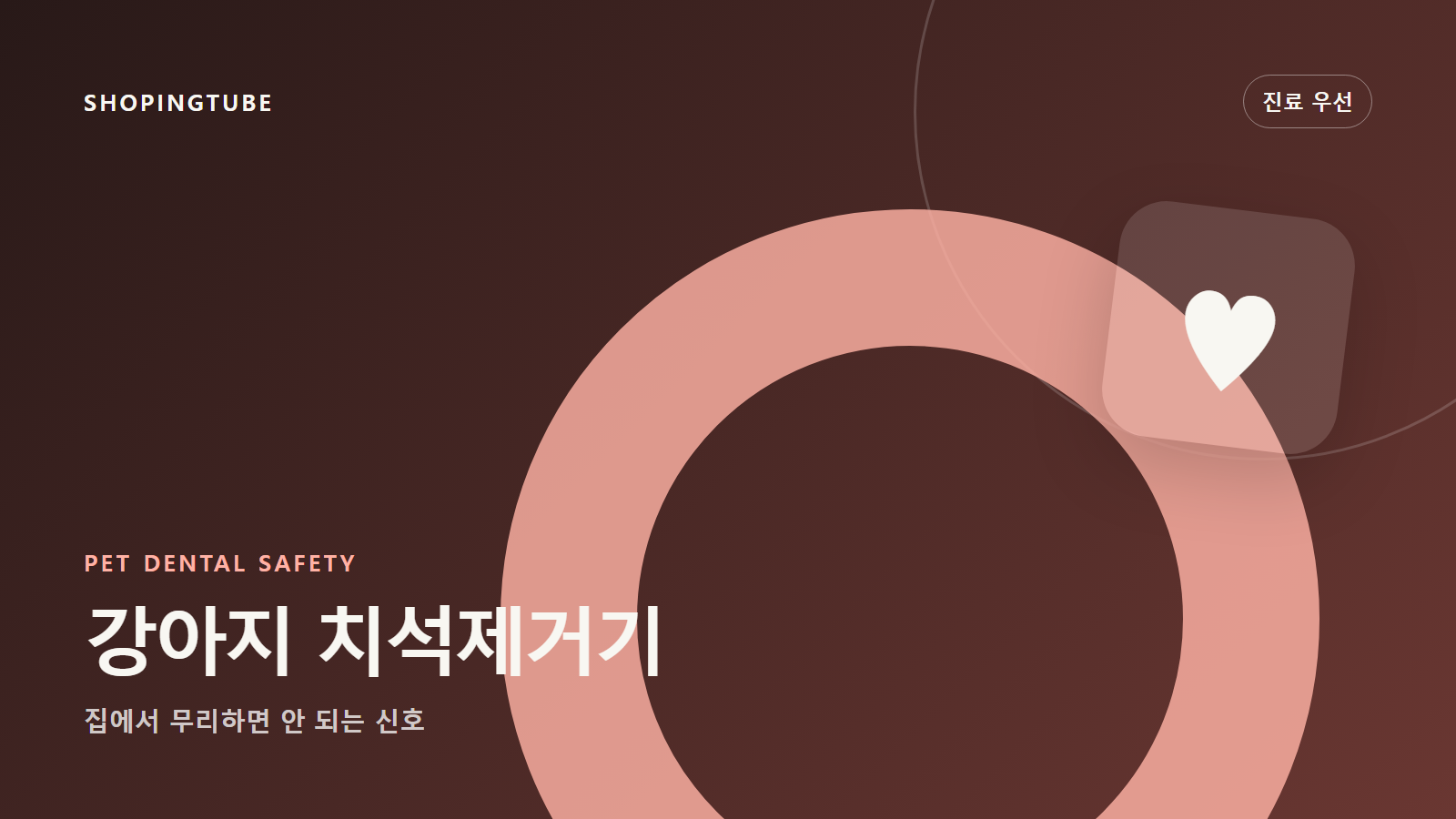 강아지 치석제거기 사용 전 체크: 집에서 무리하면 안 되는 신호 구매 가이드 편집 이미지