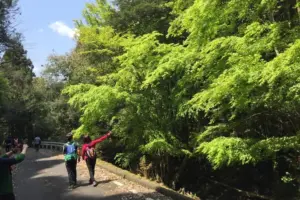 대마도 패키지여행, 2일 오션뷰·온천 예약 전 확인 상품 이미지