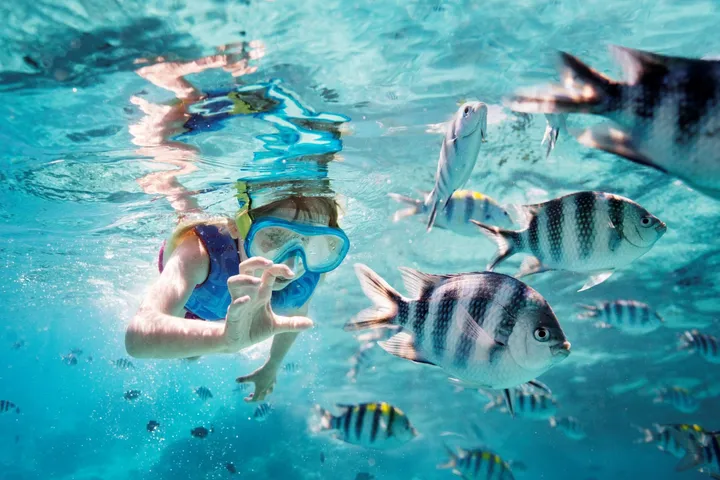 나트랑 패키지여행, 5일 노팁·온천·마사지 예약 전 확인 대표 이미지